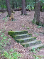 Steps to the long gone lodge IMG 3741